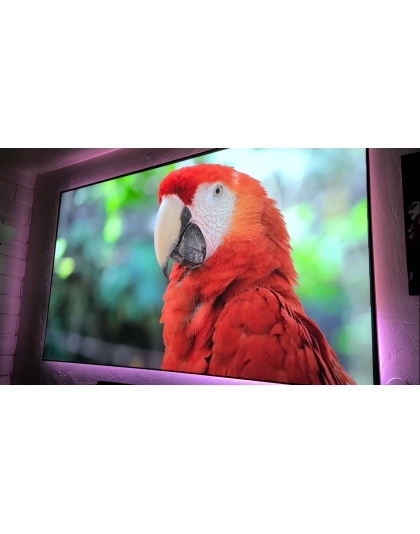 115-Inch 16:9 Front Projection Edge Free Screen