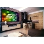 135-Inch 16:9 Front Projection Fixed Frame Screen